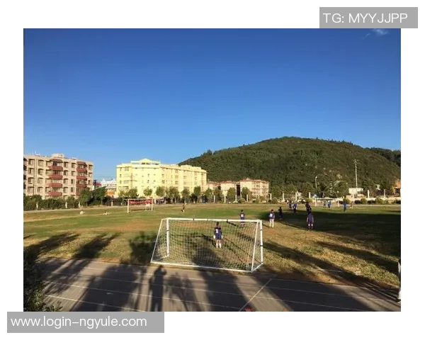 恰卡与查塔的较量揭示了足球战术与团队合作的深刻内涵